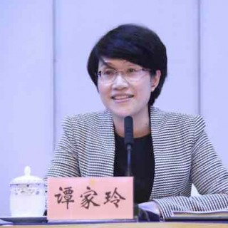 重庆市副市长谭家玲对重庆市文化工作提出十大体系建设要求