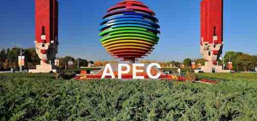《环球人物》杨晓东：APEC，我与你同行